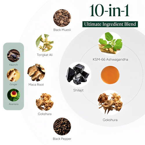 PrimalEdge™ Shilajit Gummies