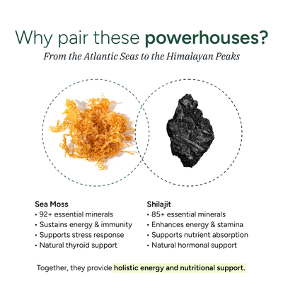 PrimalEdge™ 20-in-1 Supplement Bundle