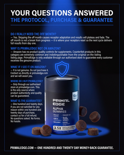 Primal Edge Performance Blueprint