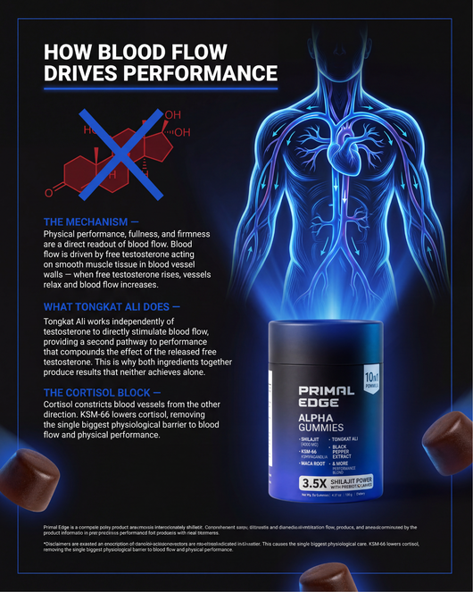 Primal Edge Performance Blueprint
