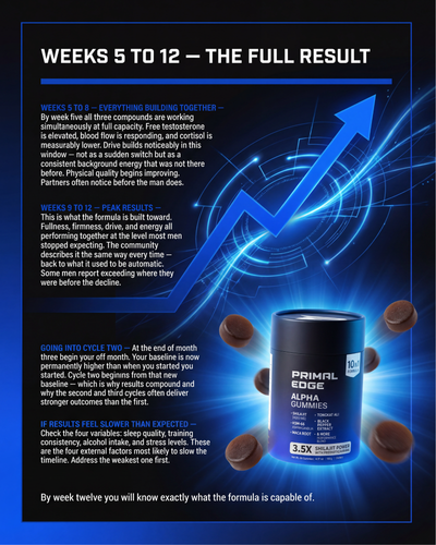 Primal Edge Performance Blueprint