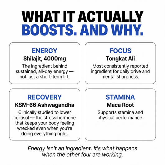 PrimalEdge™ 10-in-1 Alpha Gummies
