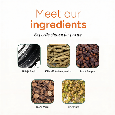 PrimalEdge™ 10-in-1 Shilajit Gummies
