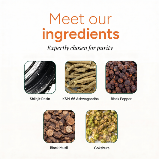 PrimalEdge™ 10-in-1 Shilajit Gummies